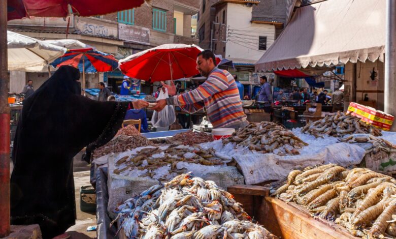 أسعار السمك اليوم البلطي