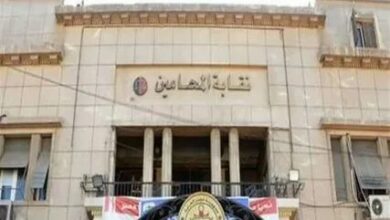 إجراء انتخابات نقابة المحامين